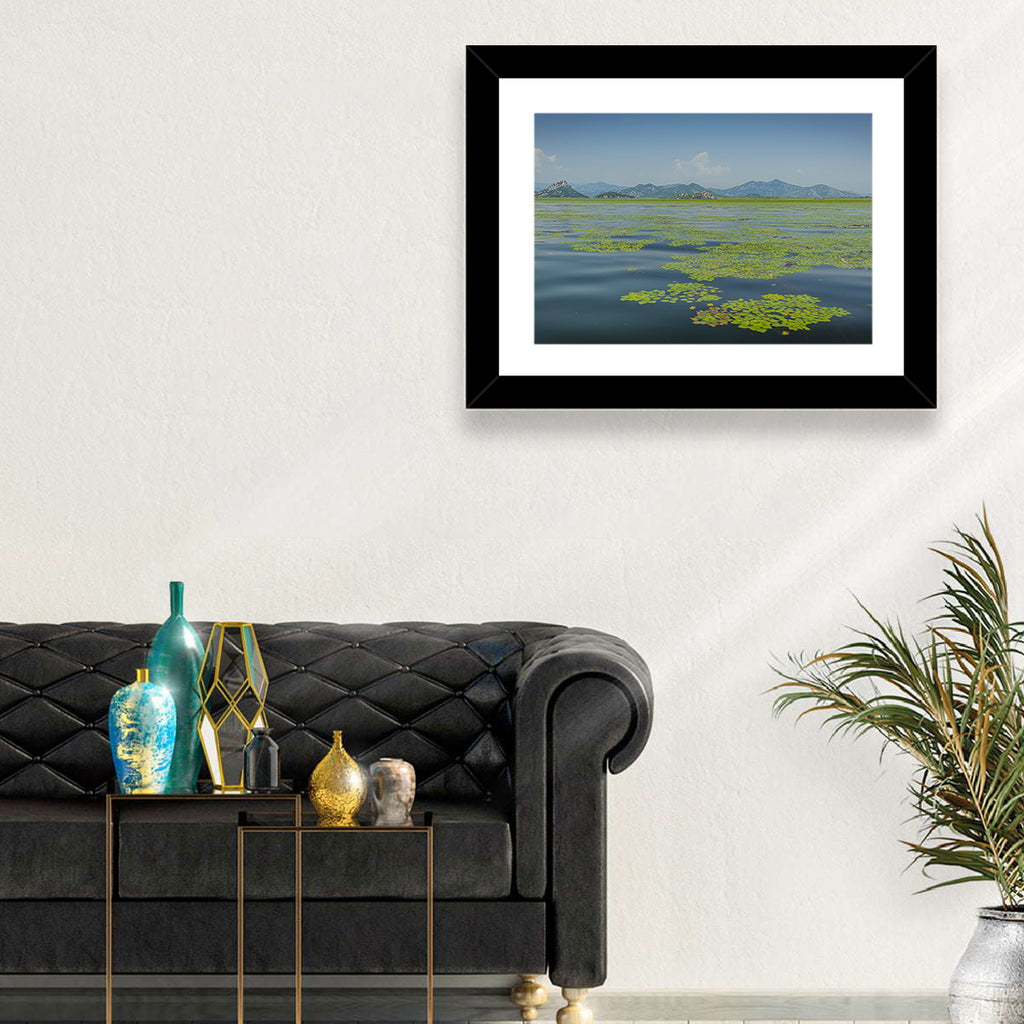 Lake Skadar Water Lilies Wall Art