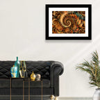 Golden Spiral Fractal Wall Art