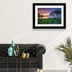 Cipondoh Lake Hyacinth Sunset Wall Art