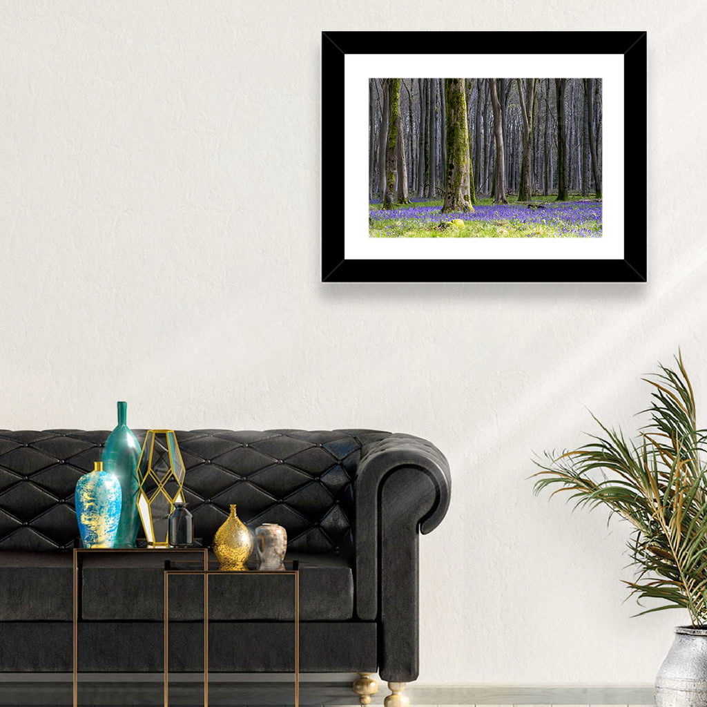 Bluebell Beechwood Grove Wall Art