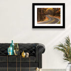 S-curve Road Through Autumn Forest Wall Art