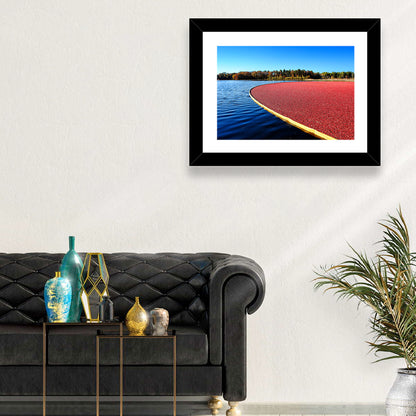 Flooded Cranberry Bog Wall Art