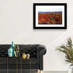 Autumn in the Appalachian Forest Wall Art