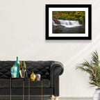 Dupont State Forest Autumn Waterfall Stream Wall Art