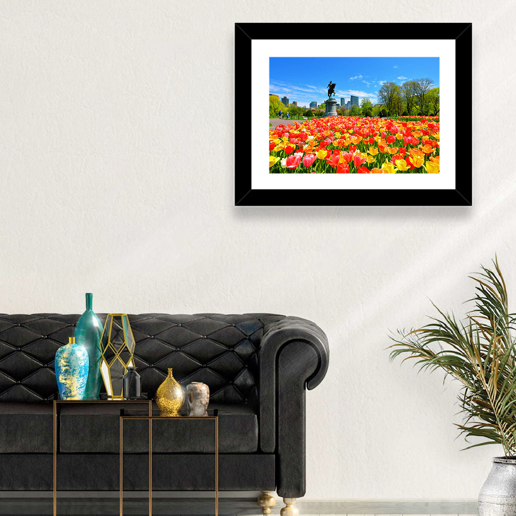 Boston Public Garden Tulips Wall Art