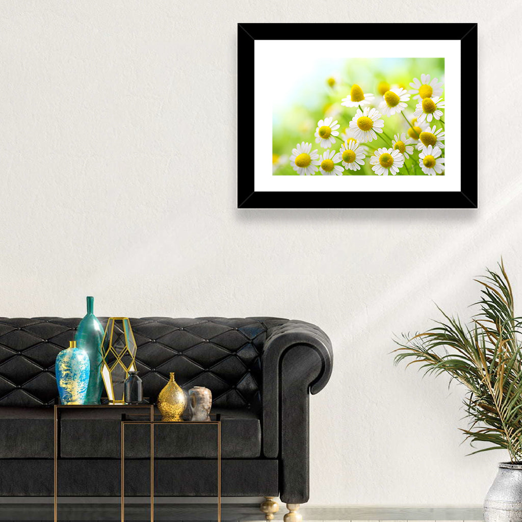Chamomile Close-up Wall Art