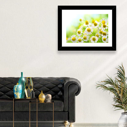 Chamomile Flowers Wall Art