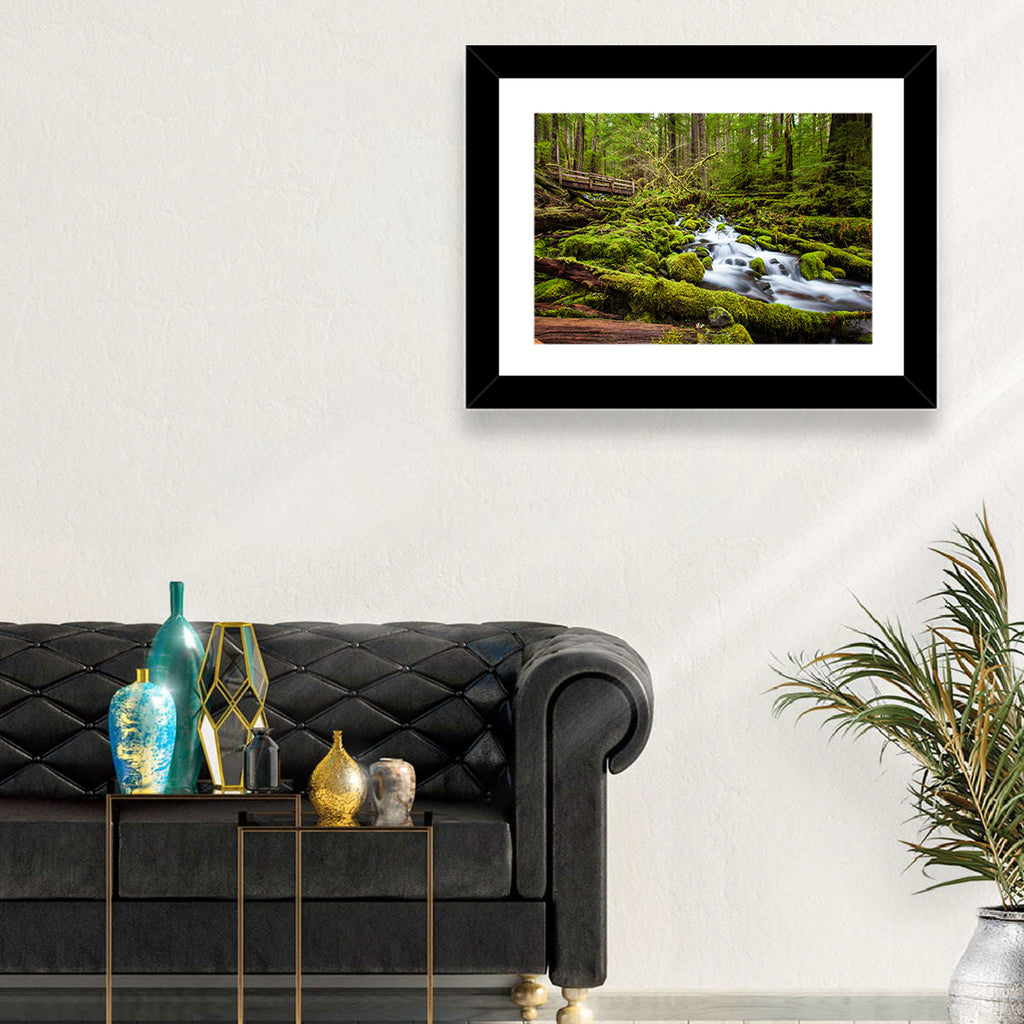 Mossy Cascade Forest Stream Wall Art