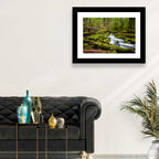 Mossy Cascade Forest Stream Wall Art