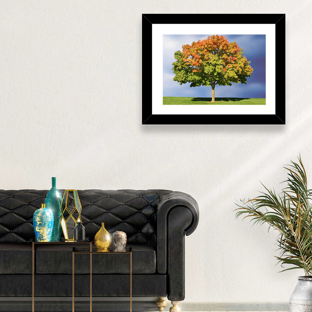 Maple with Split Foliage Wall Art