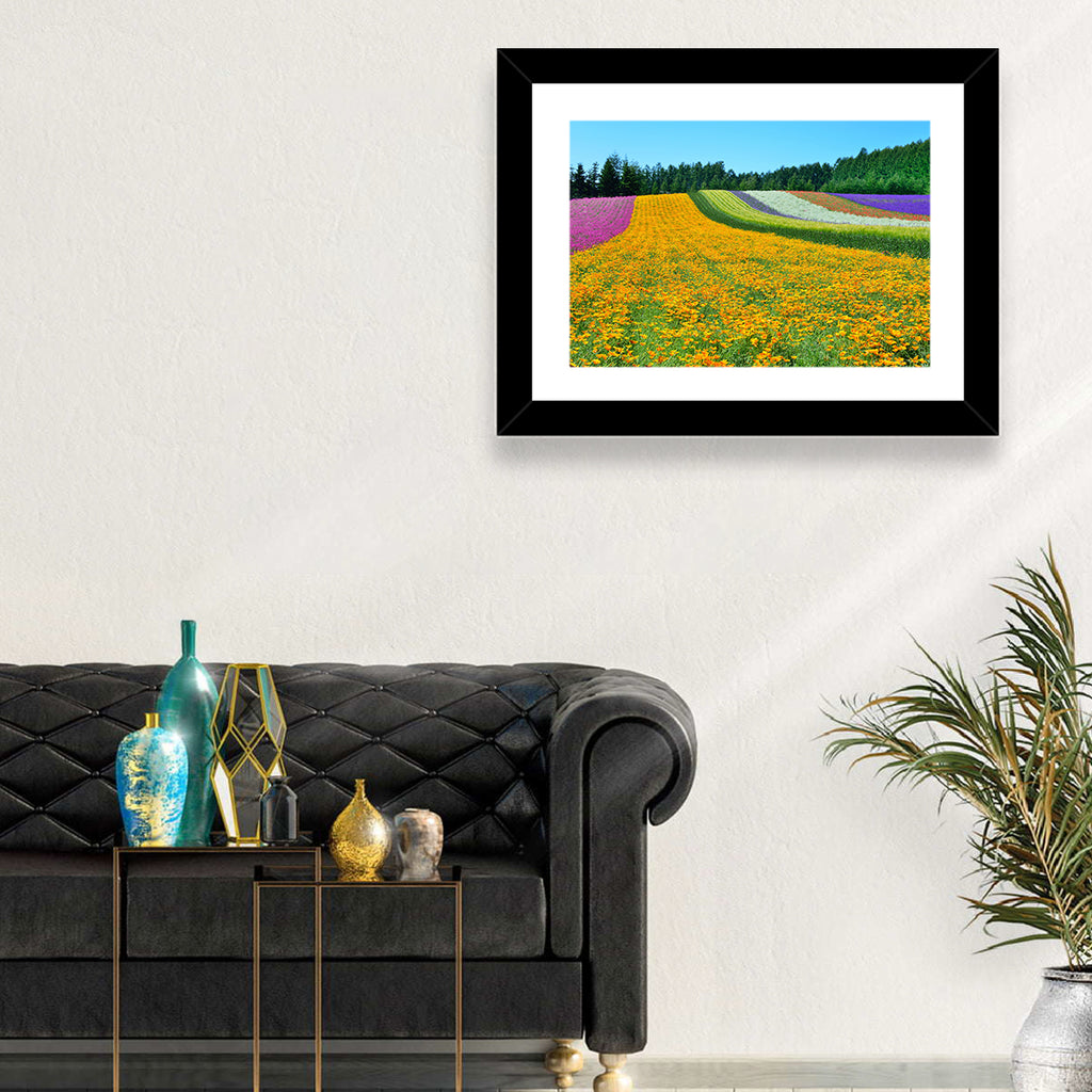 Tomita Flower Fields, Nakafurano Wall Art