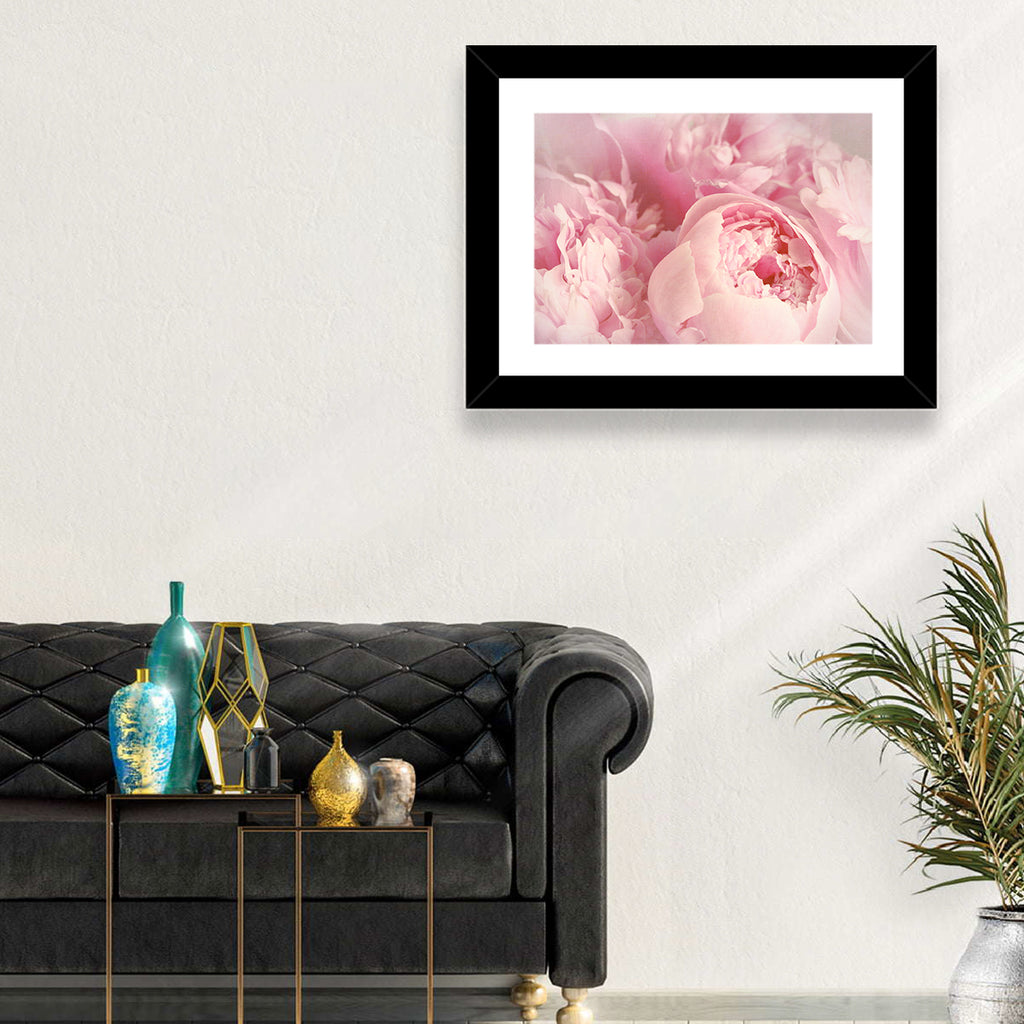 Soft Pink Peony Close Up Wall Art