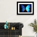 Blue Butterfly Macro Study Wall Art