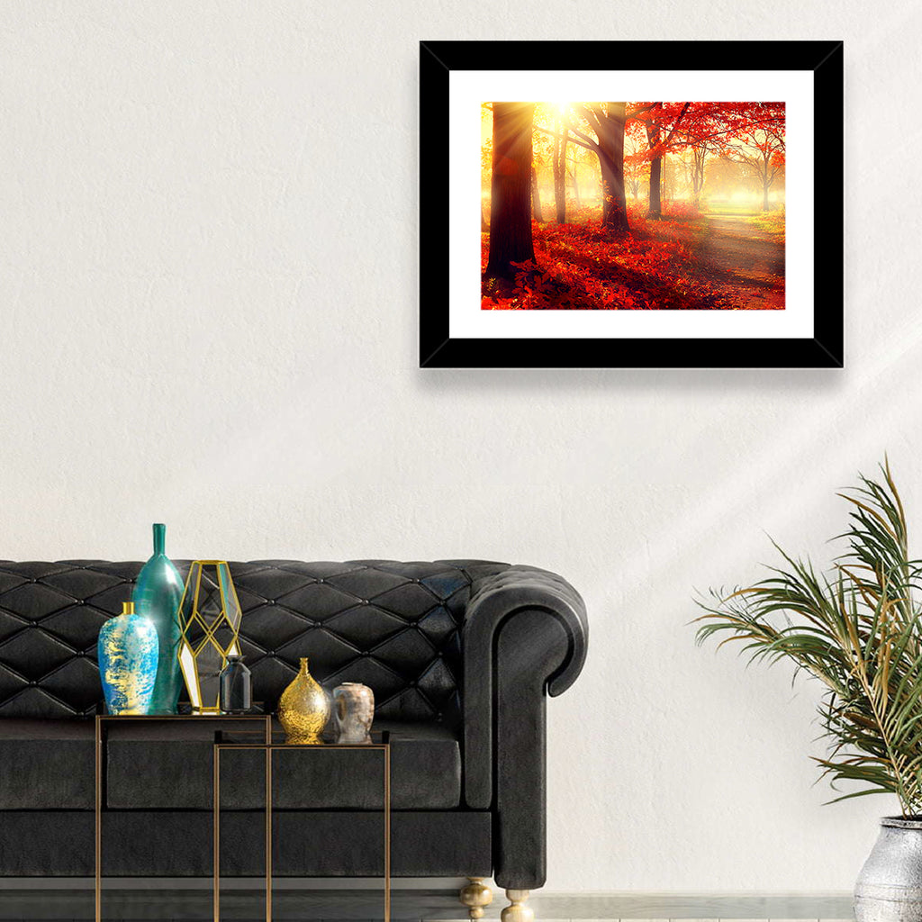 Sunlit Forest Path Wall Art