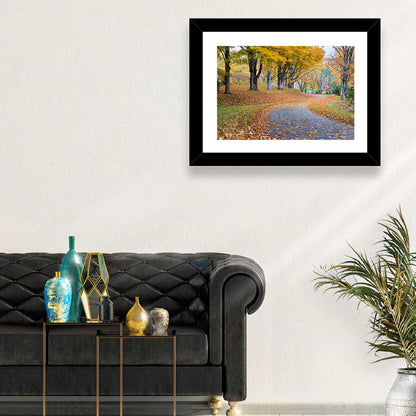 Autumn Leaves on Road Wall Art