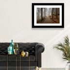 Misty Appalachian Trail Path Wall Art