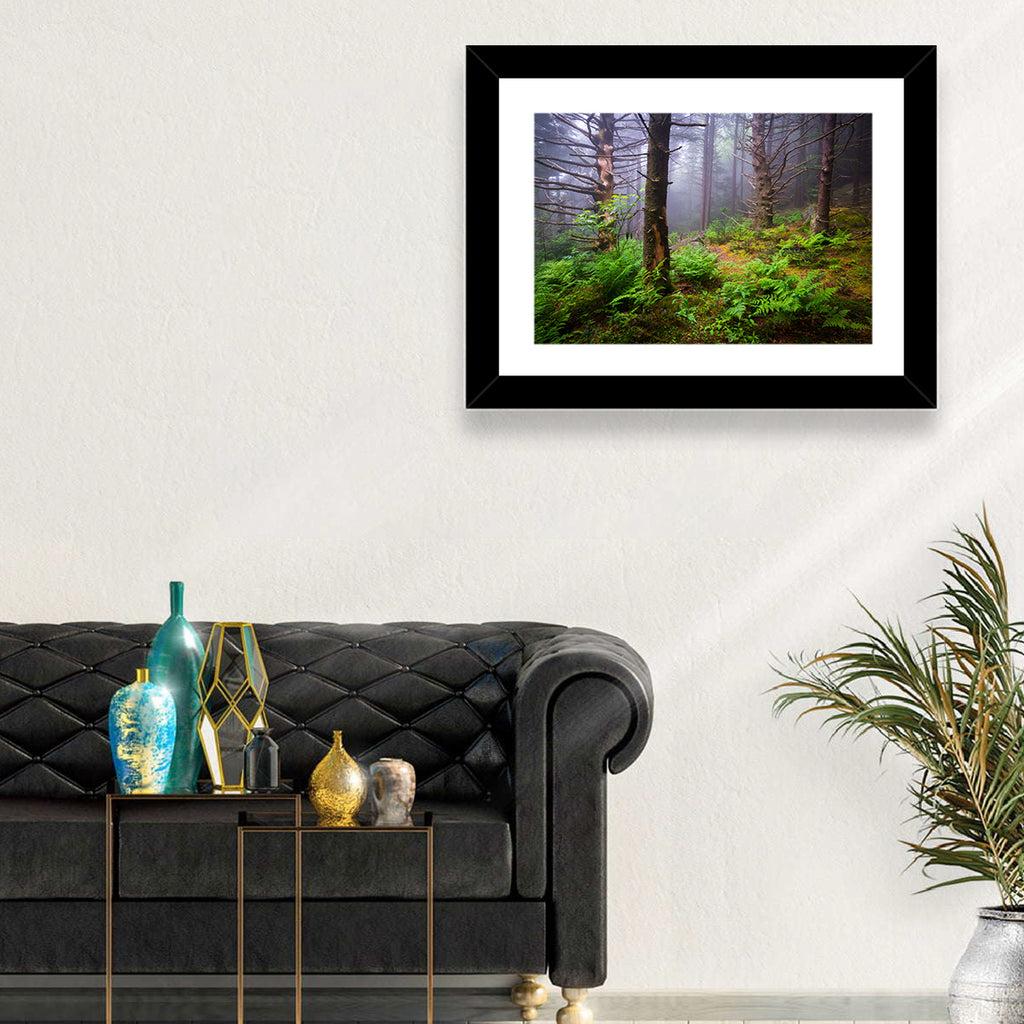 Misty Spruce-fir Trail Wall Art