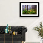 Misty Spruce-fir Trail Wall Art
