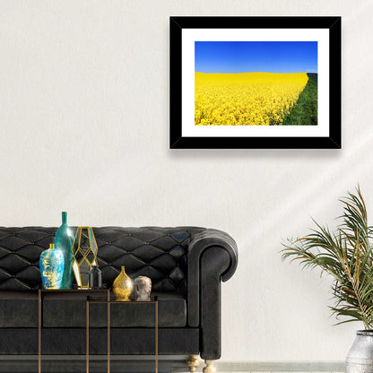 Rapeseed Field Wall Art