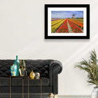 Spring Tulip Fields with Dutch Windmill Wall Art