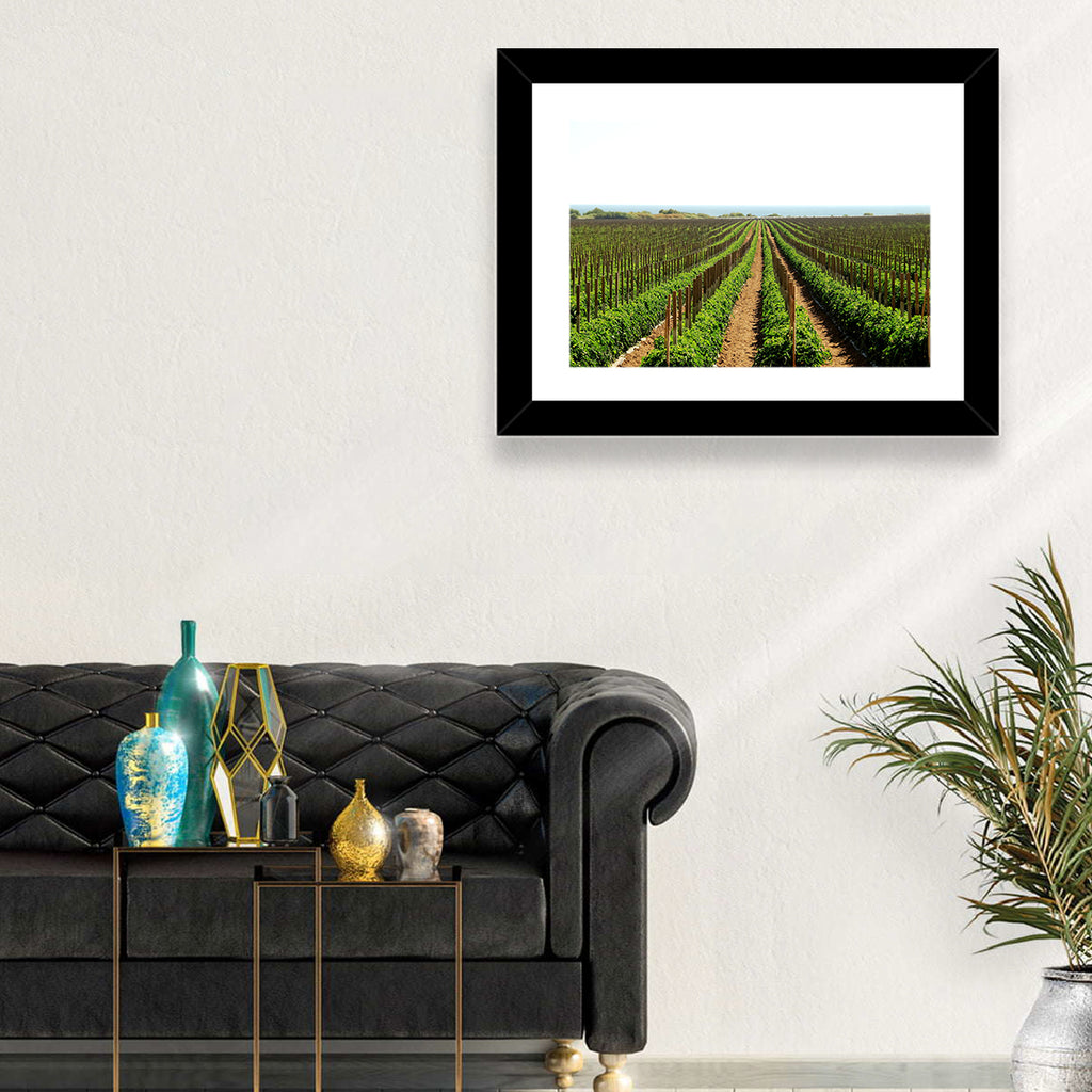 Tomato Fields Wall Art