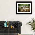 Forest Creek, North Carolina Wall Art