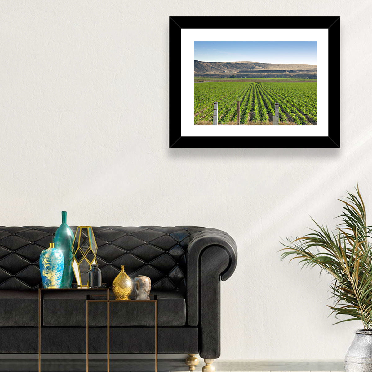 Idaho Corn Field Wall Art in a room, landscape