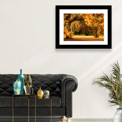 Park Autumn Trees Wall Art