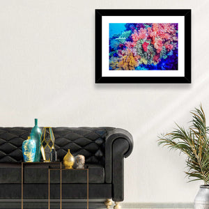 Coral Reef Wall Art