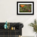 Orange Starfish Tide Pool Wall Art