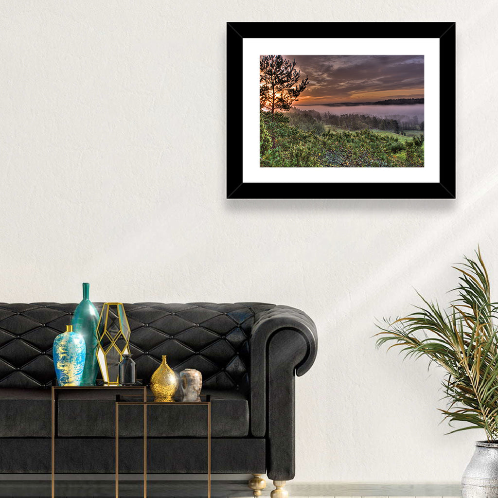 Misty Swedish Pine Valley Wall Art