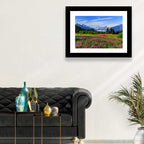 Juneau Meadow with Mendenhall Glacier Wall Art