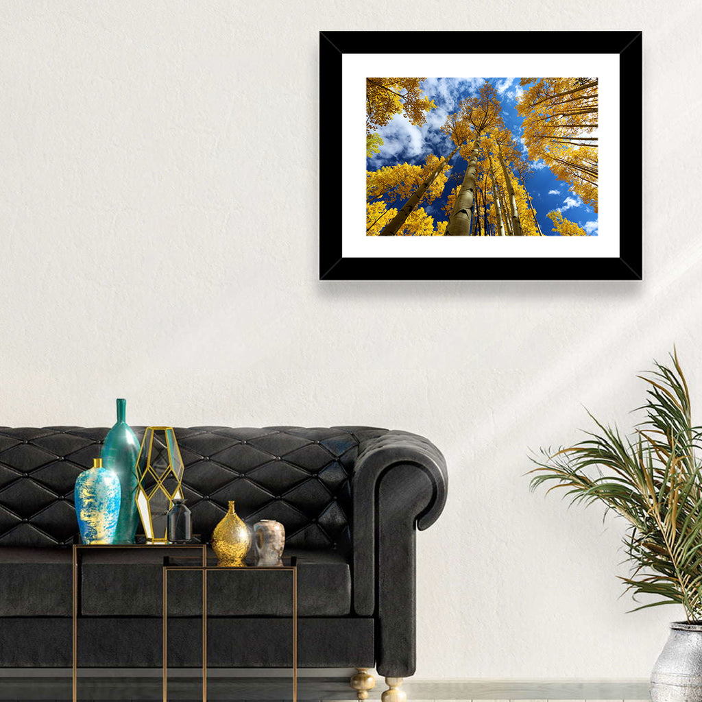 Golden Aspen Canopy View Wall Art