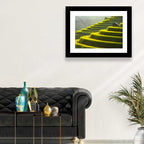 Golden Rice Terraces Wall Art