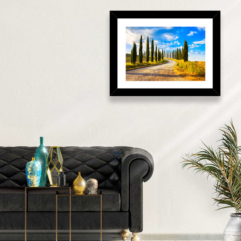 Sunlit Tuscany Cypress Road Wall Art