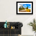 Sunlit Tuscany Cypress Road Wall Art