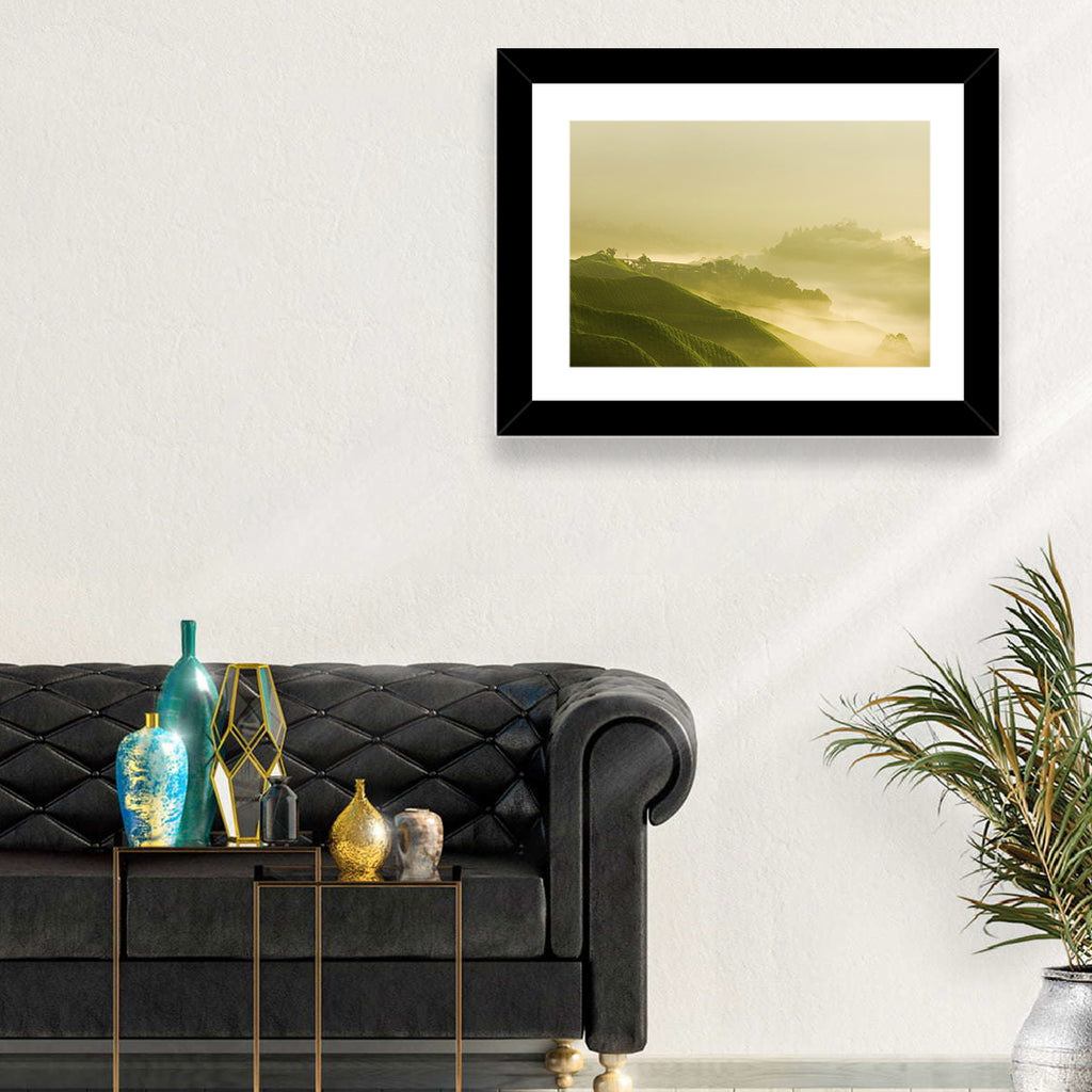 Tea Plantation Morning Mist Wall Art