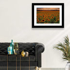 Colorado Sunflower Field at Sunset Wall Art