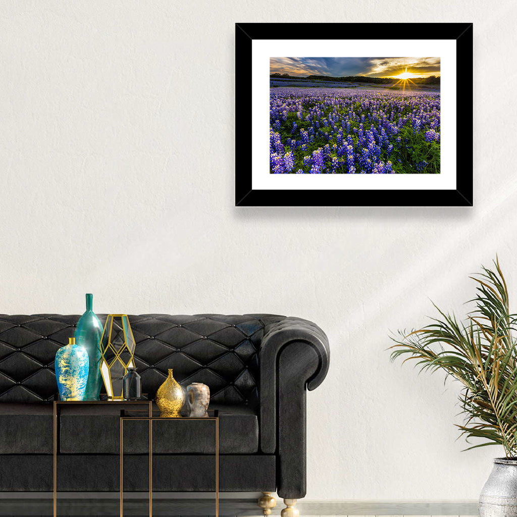 Texas Bluebonnet Field at Sunset Wall Art