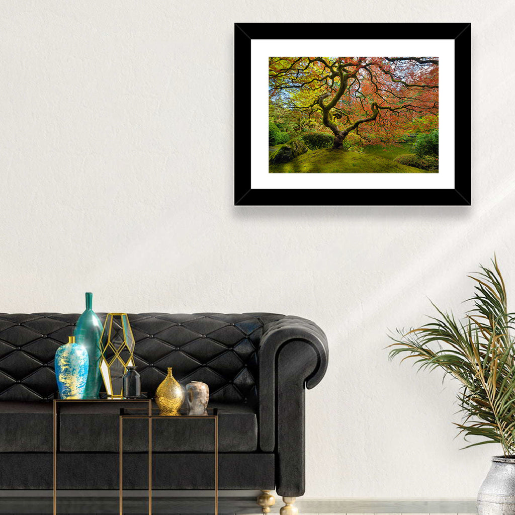 Gnarled Japanese Maple by Garden Pond Wall Art