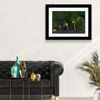 Five-stage Plant Growth Wall Art