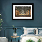 Danish Autumn Tree-lined Path Wall Art