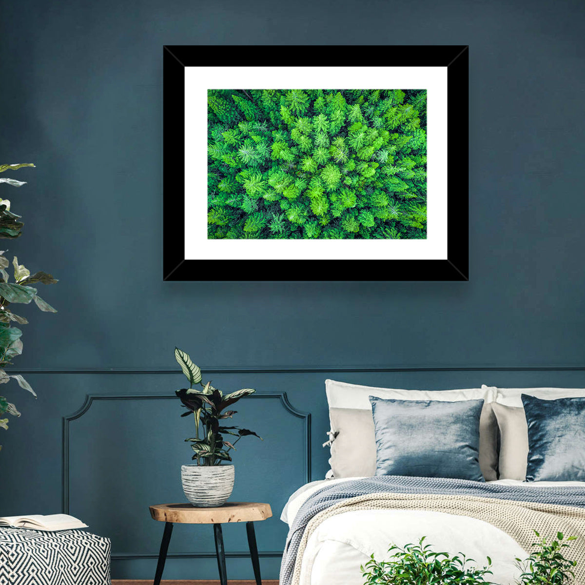 Whakarewarewa Forest Canopy Wall Art in a room, landscape