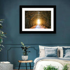 Autumn Oak Tunnel Wall Art