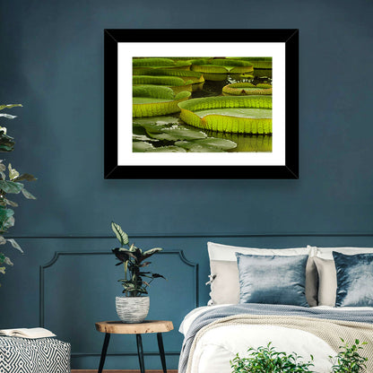 Giant Water Lilies Wall Art