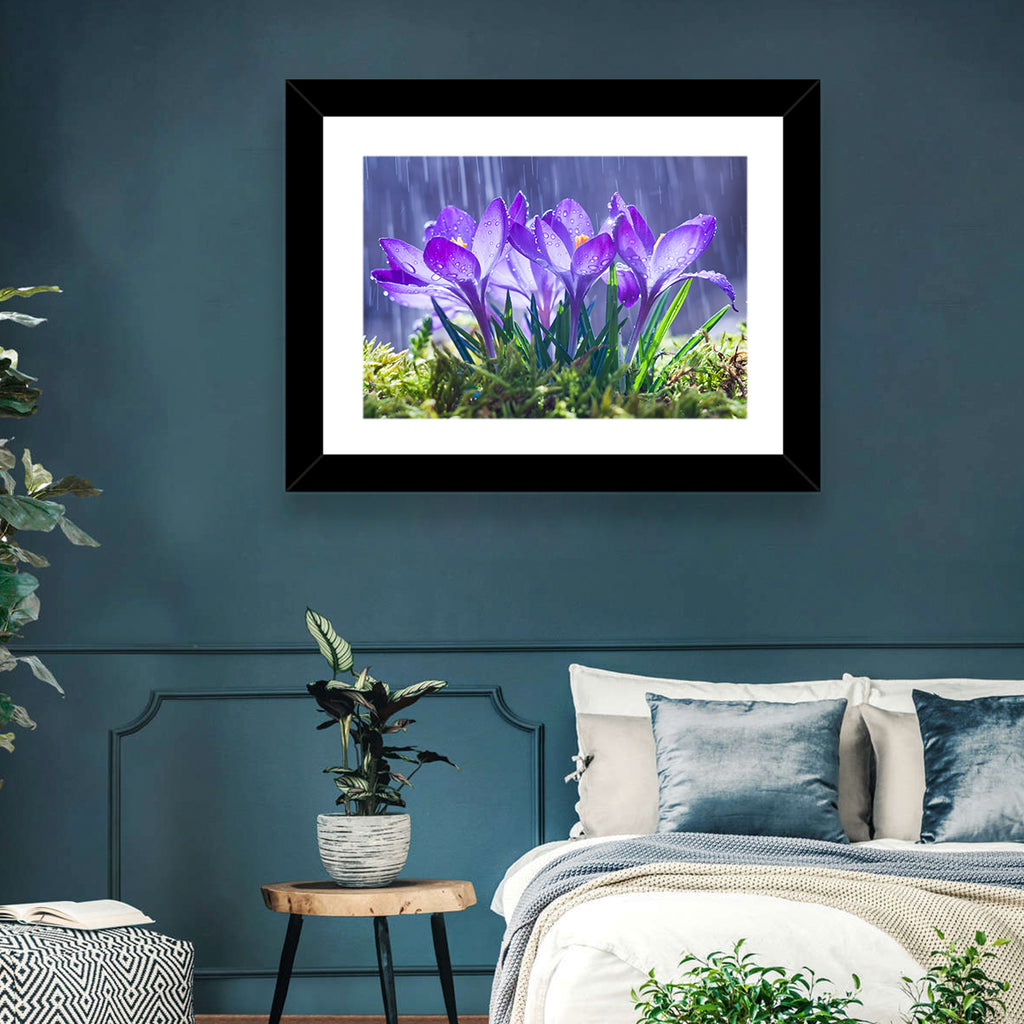 Rainy Purple Crocuses Wall Art