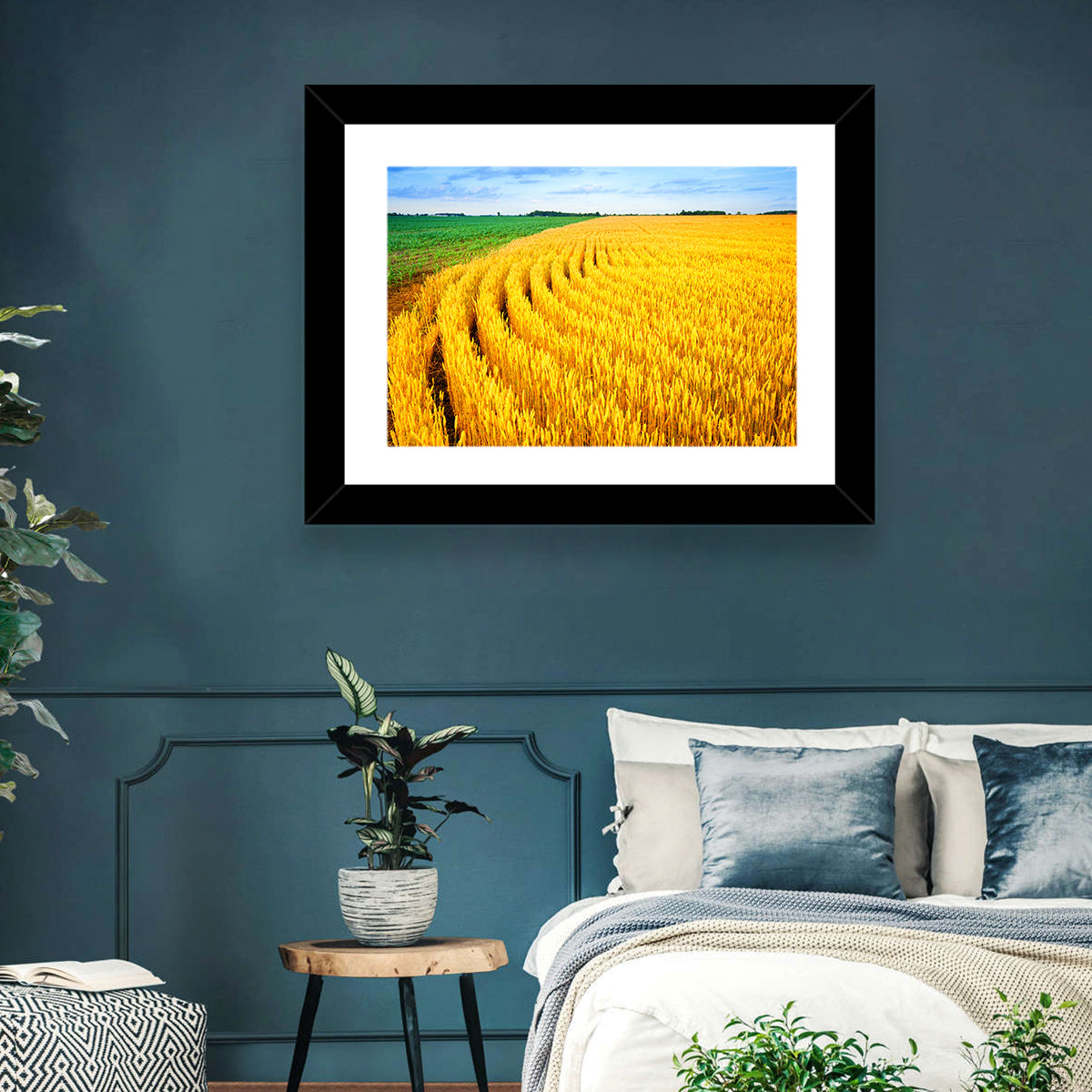 Summer Wheat Field with Curved Paths Wall Art in a room, landscape
