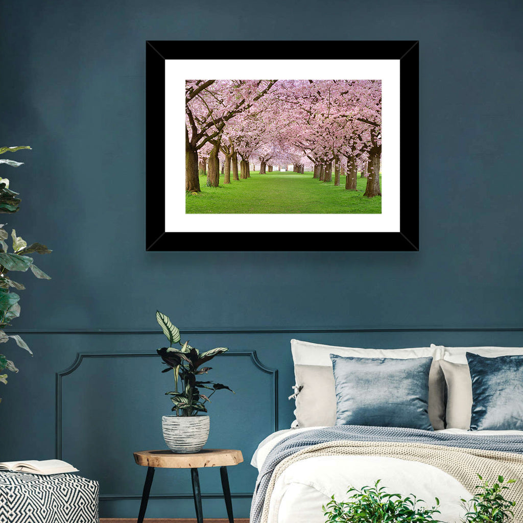 Cherry Blossom Avenue Wall Art