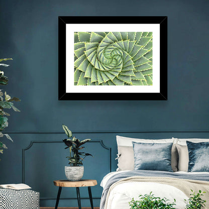 Spiral Aloe Wall Art