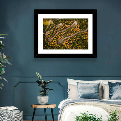 Curvy Forest Road Wall Art